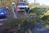 Odstraňování jsme začali na Teplé stráni
