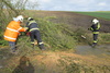 proběhlo odstranění stromu a úklid komunikace