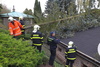 Vyčkali jsme na příjezd majitelky, mezitím jsme si připravili vše potřebné