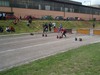 100m překážek jednotlivci